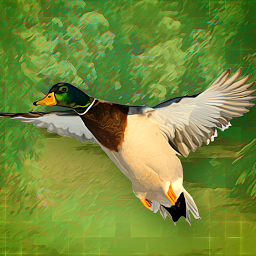 打鸭子VR(Duck Hunt VR)